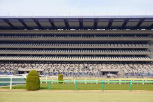 東京競馬場 用語集ドットコム